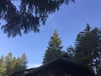 Foto 06.06.16, 06 49 33